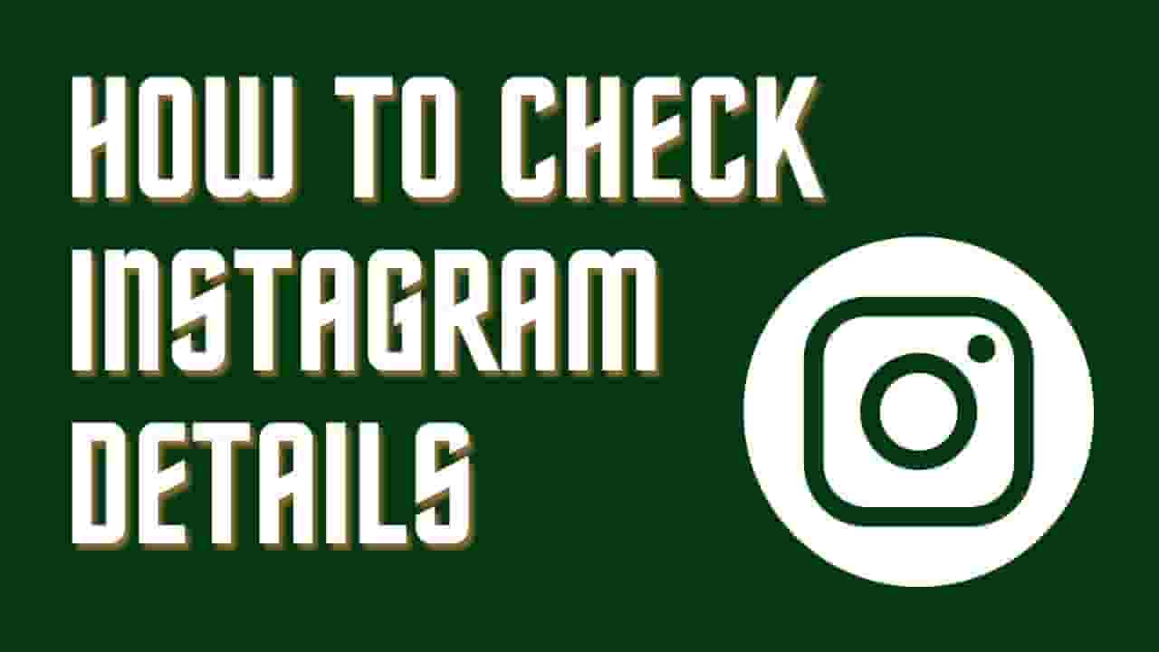 How to Check Instagram Details - Satta King